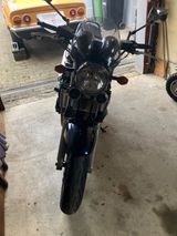 Suzuki Bandit 1200 - Offers matching your search criteria