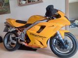 Triumph Daytona 955i - TRIUMPH 955 DAYTONA