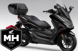 Honda FORZA 350 ! NSS 350 ! 2026 ! SPECIAL EDITION ! - Honda Forza 350 Special Edition