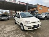 Fiat Panda 1.2 8V Dynamic - Fiat Panda: Limousine