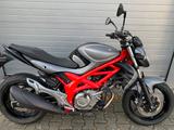 Suzuki SFV650-ABS - SUZUKI MOTORRAD