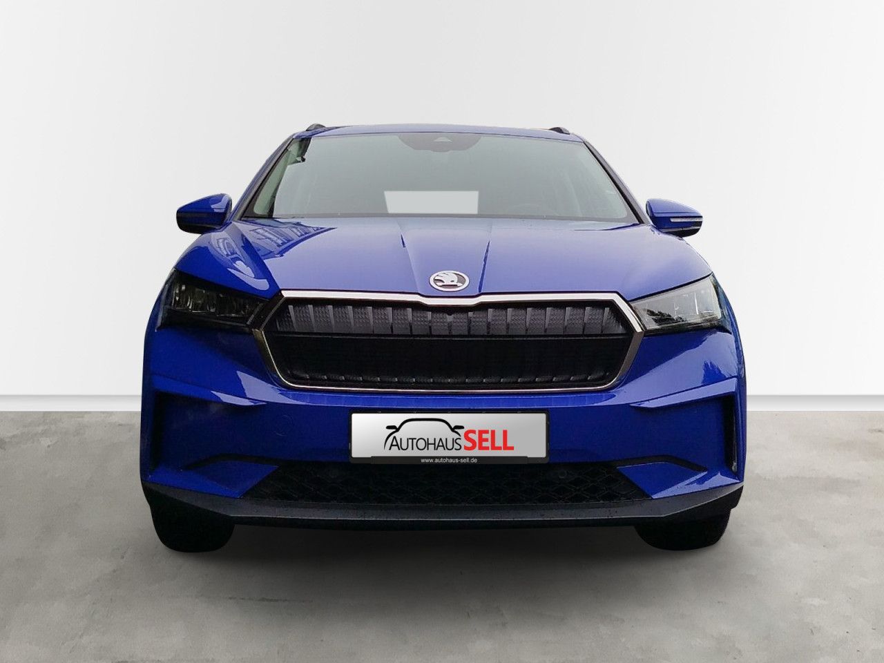 Fahrzeugabbildung SKODA Enyaq 50 109/55 E1H