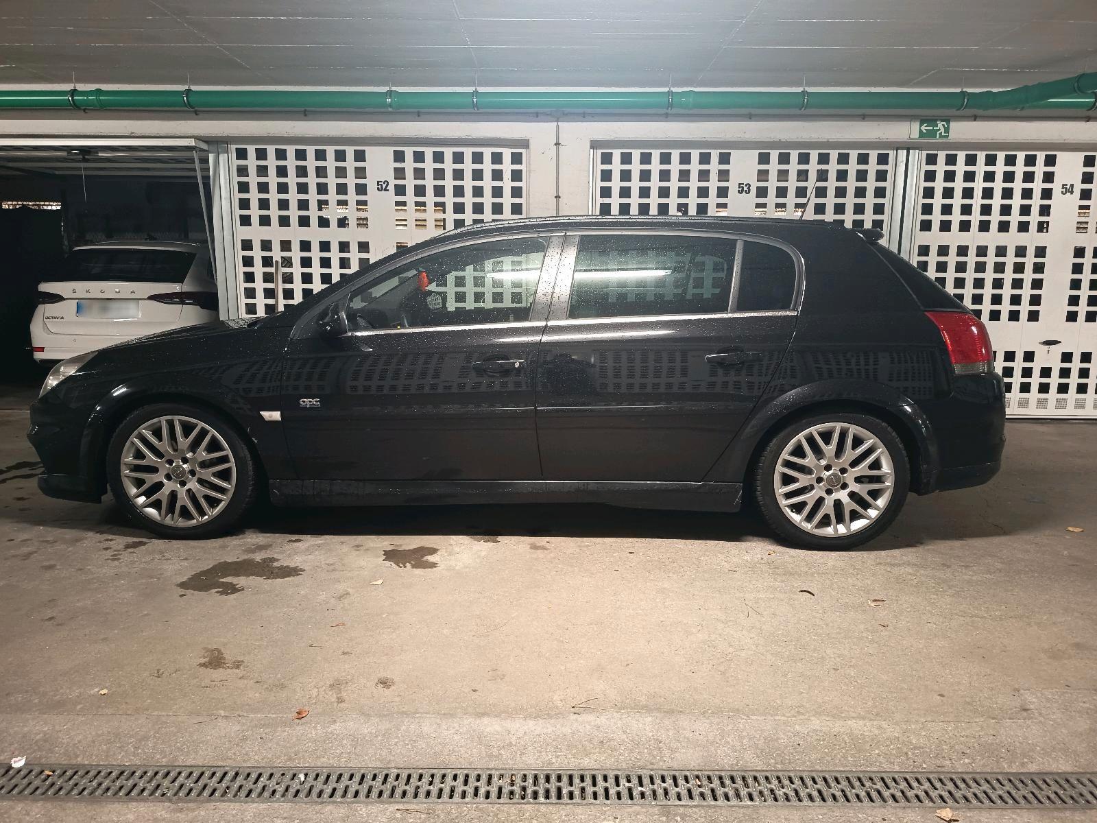Opel Signum 2007 — rear view