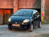 Fiat Punto 1.2 Benzin- Zuverlässiger Klein... - : Kleinwagen, Zuverlässige