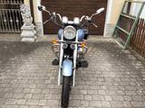 Daelim VL125F | 7.347 km | TÜV bis 01.02.2027 - DAELIM CHOPPER 125