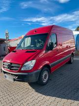 Mercedes-Benz Mercedes Sprinter 316 ENGT Erdgas Benziner... - Mercedes-Benz Sprinter mit Benzin-Antrieb