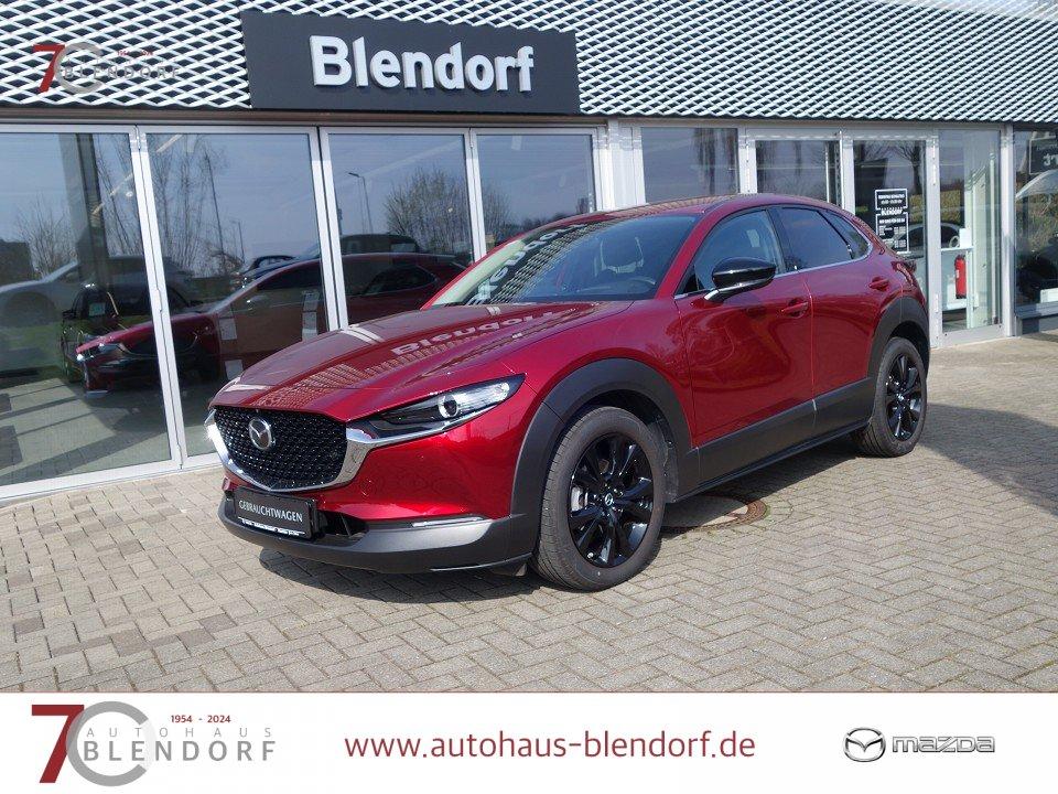 Mazda CX-30 Homura X 186 Automatik 360°|Navigation|Bos