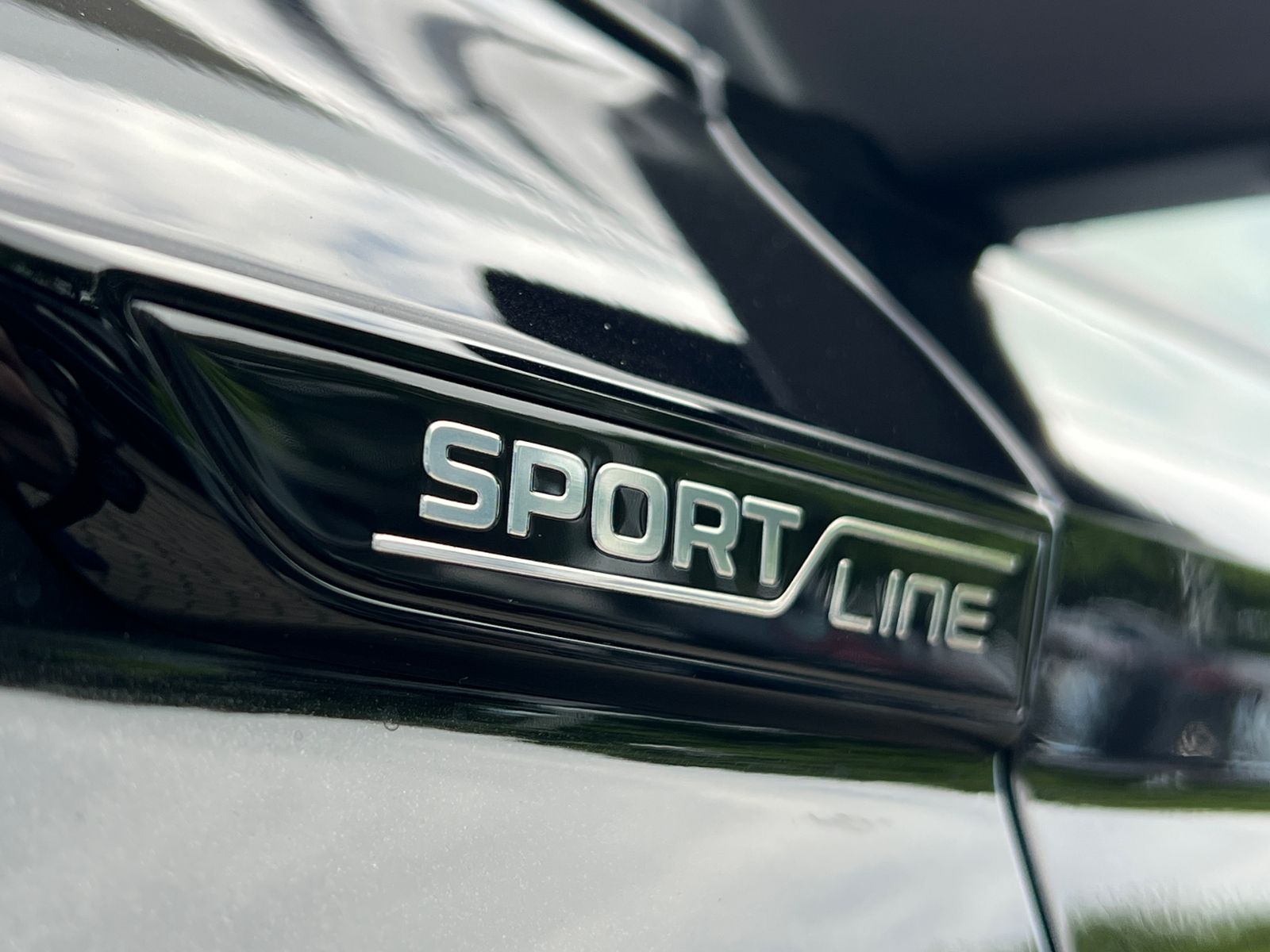 Fahrzeugabbildung SKODA Karoq Sportline 2.0 TSI 4x4 DSG *Panorama, AHK,