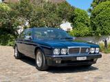 Jaguar Daimler - Jaguar Daimler von privat
