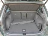 Cupra ATECA 2.0 TSI DSG 4DRIVE AHZV TOP-VIEW-KAMERA  - Cupra Ateca: 2.0