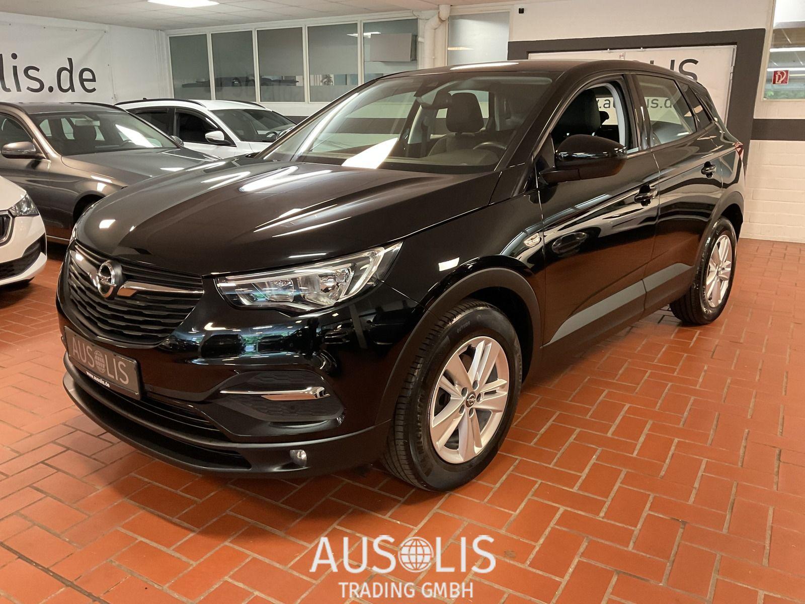 Opel Grandland X 1.5 Business Edition Navigation,Rück
