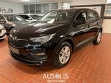 Opel Grandland X 1.5 Business Edition Navigation,Rück - Opel Grandland (X) Business-Edition