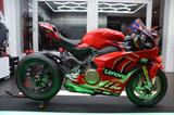 Ducati Panigale V 4 Replica Pecco Bagnaia Superbike - DUCATI SUPERBIKE
