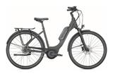Falter E 9.3 RT Wave dark anthracite, glossy 45 cm, 28" - Falter E-Bikes