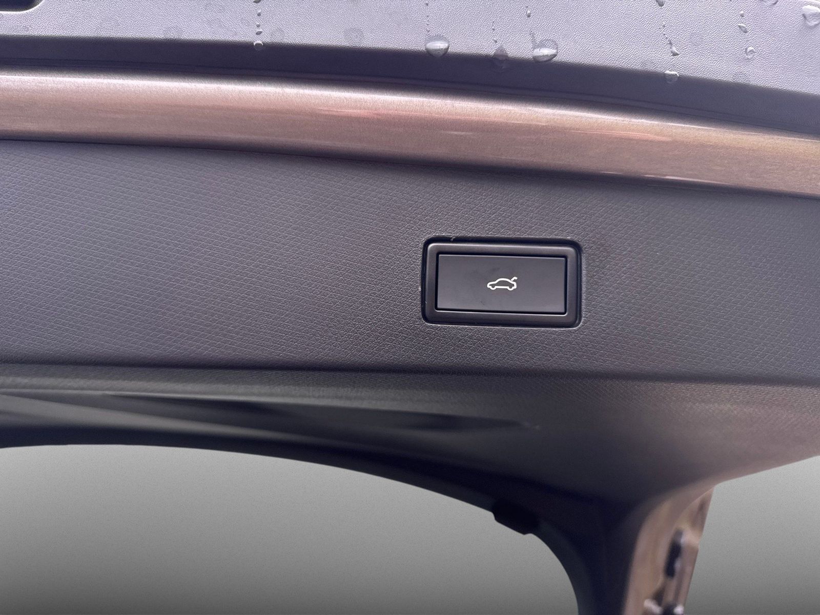 Cupra Tavascan - Bild 15