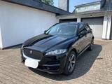 Jaguar F-Pace 20d AWD Pure Automatik LED - Jaguar F-Pace: Pure