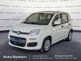Fiat FIAT Panda Panda 1.3 mjt 16v Easy s&s 95cv - Fiat Panda EASY mit Diesel-Antrieb