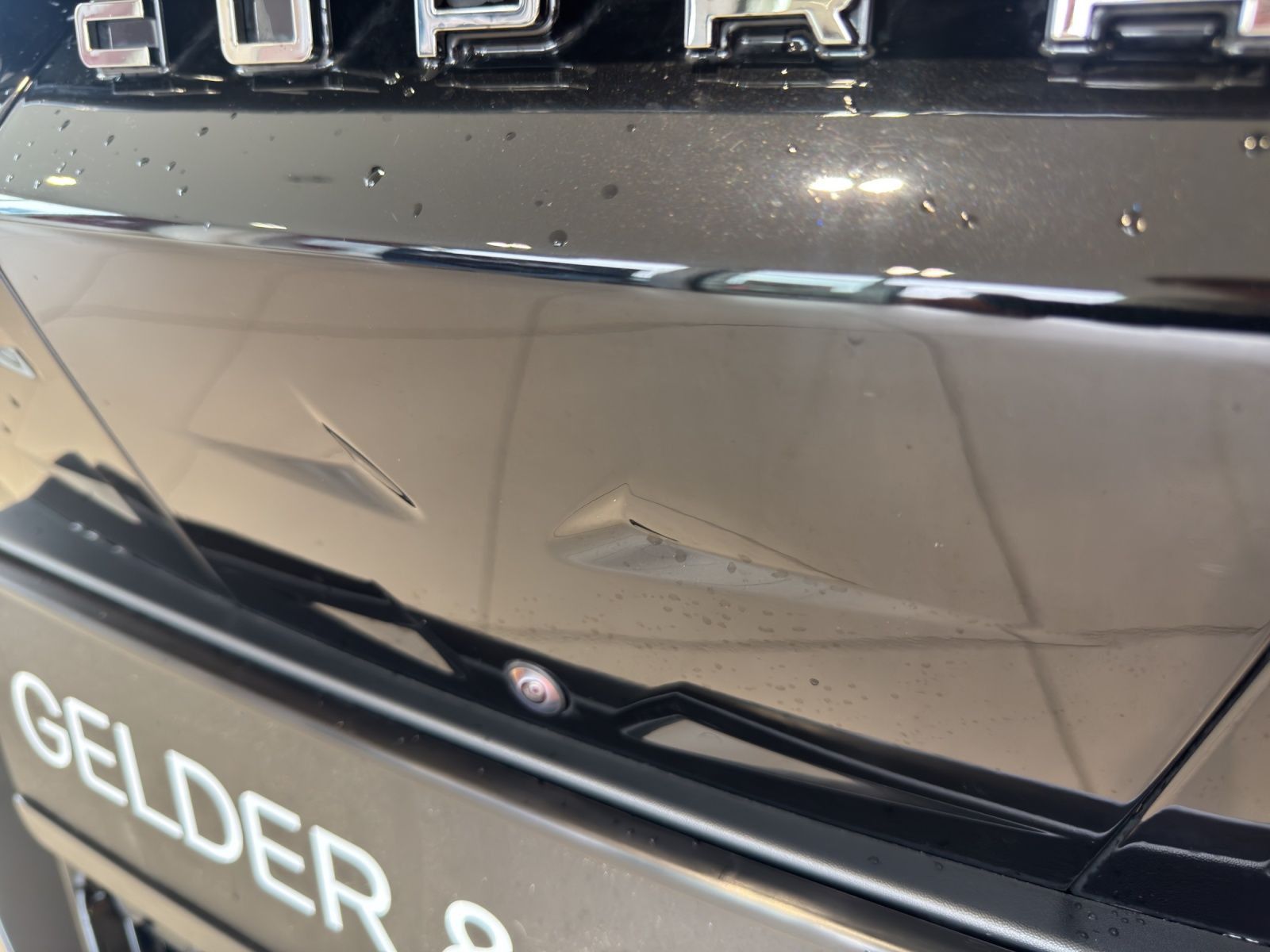Cupra Tavascan - Bild 20