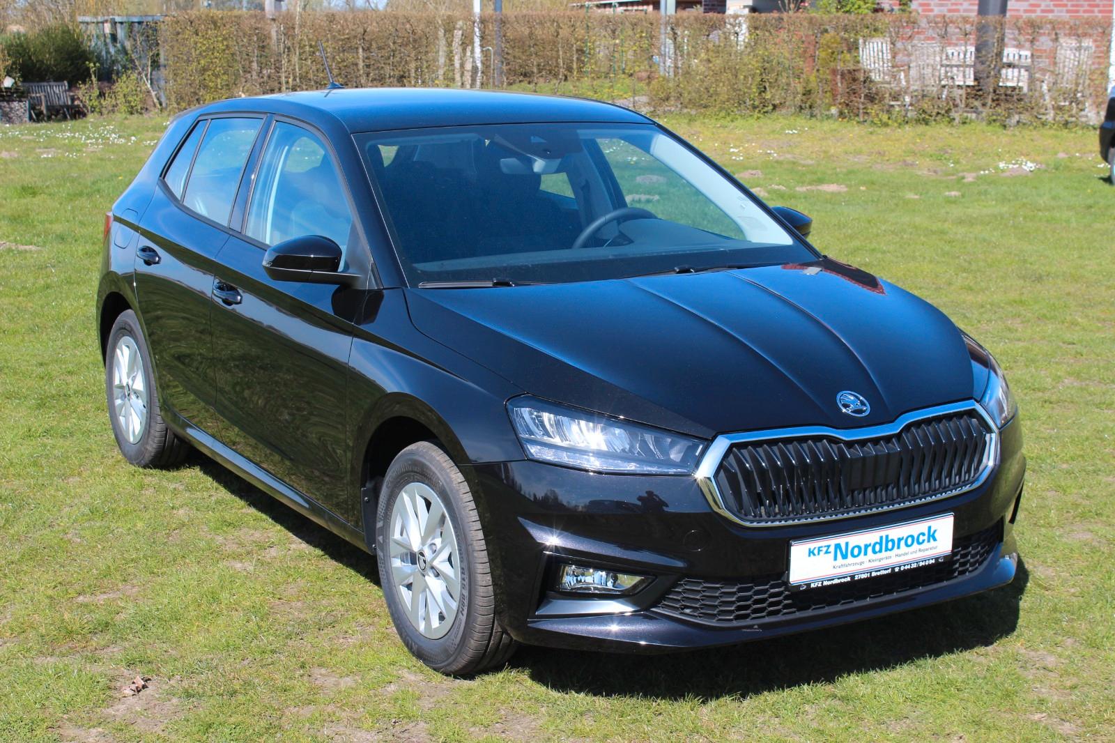 Skoda Fabia Selection *Kamera*GRA*SZH*App-Connect*LED*