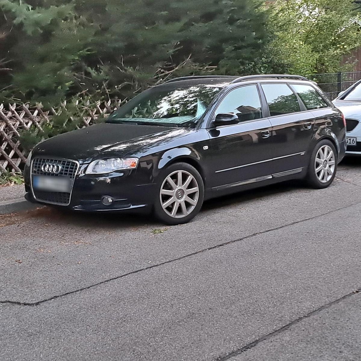 Audi A4 2005 — photo 13