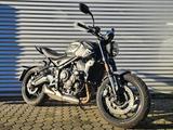 Triumph Trident 660 - Triumph Motorräder in Bonn