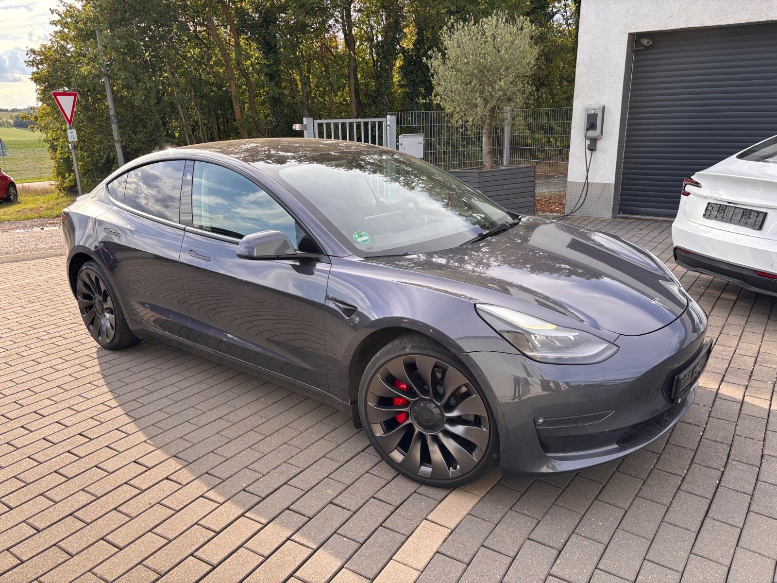 Tesla Model 3 Performance Dual AWD imagem 3