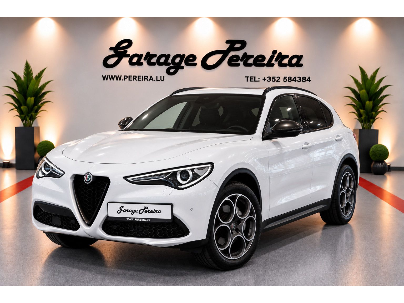 Alfa Romeo Stelvio 2.0 TURBO Q4 CUIR NAVI imagem 2