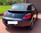 Volkswagen Beetle 1.4 TSI DSG BMT CLUB Cabriolet CLUB - Volkswagen Beetle aus 2015