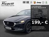 Mazda CX-30 Homura 2WD 2.0 SKYACTIV-G M Hybrid 150 EU6 - Mazda CX-30 Tageszulassungen