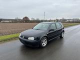 Volkswagen VW Golf IV 4/5Türer mit Tüv - Volkswagen Golf: Iv V5