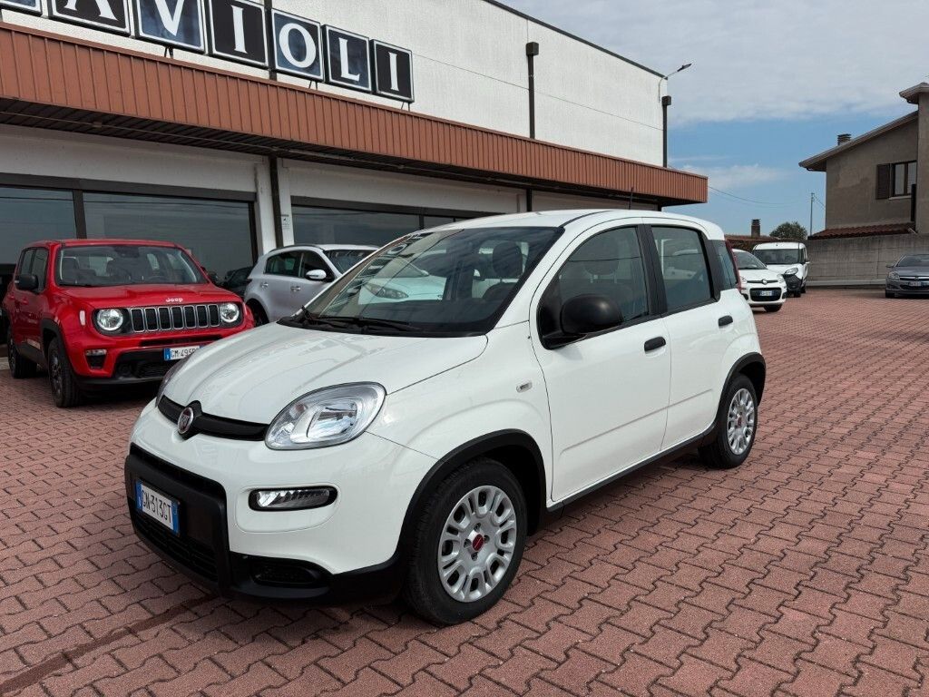 Image of Fiat Panda