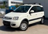 Fiat Panda 1.2 8V Climbing  4X4 Klima - Fiat Panda: Allradantrieb, Climbing