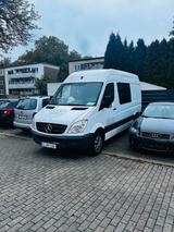 Mercedes-Benz Mercedes Sprinter 313 cdi - Mercedes-Benz Sprinter aus 2008: 313 Cdi