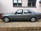 Mercedes-Benz Mercedes W201  1,9 Babybenz  190 D Mercede... - Mercedes-Benz 190 mit Diesel-Antrieb: Limousine, 190d W201