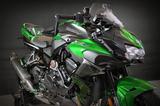 Kawasaki ZH2 2025 RSI-Ultimate evo 2 HP220,,Plus,, BG - Offers