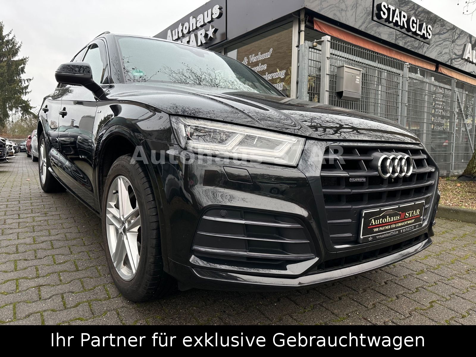 AUDI Q5 40TDI quattro sport / NAVI - PDC - PANO - SHZ