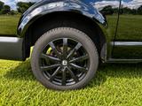 Volkswagen T6.1 Mixto (LKW Zulassung) - schwarze Volkswagen T6 andere