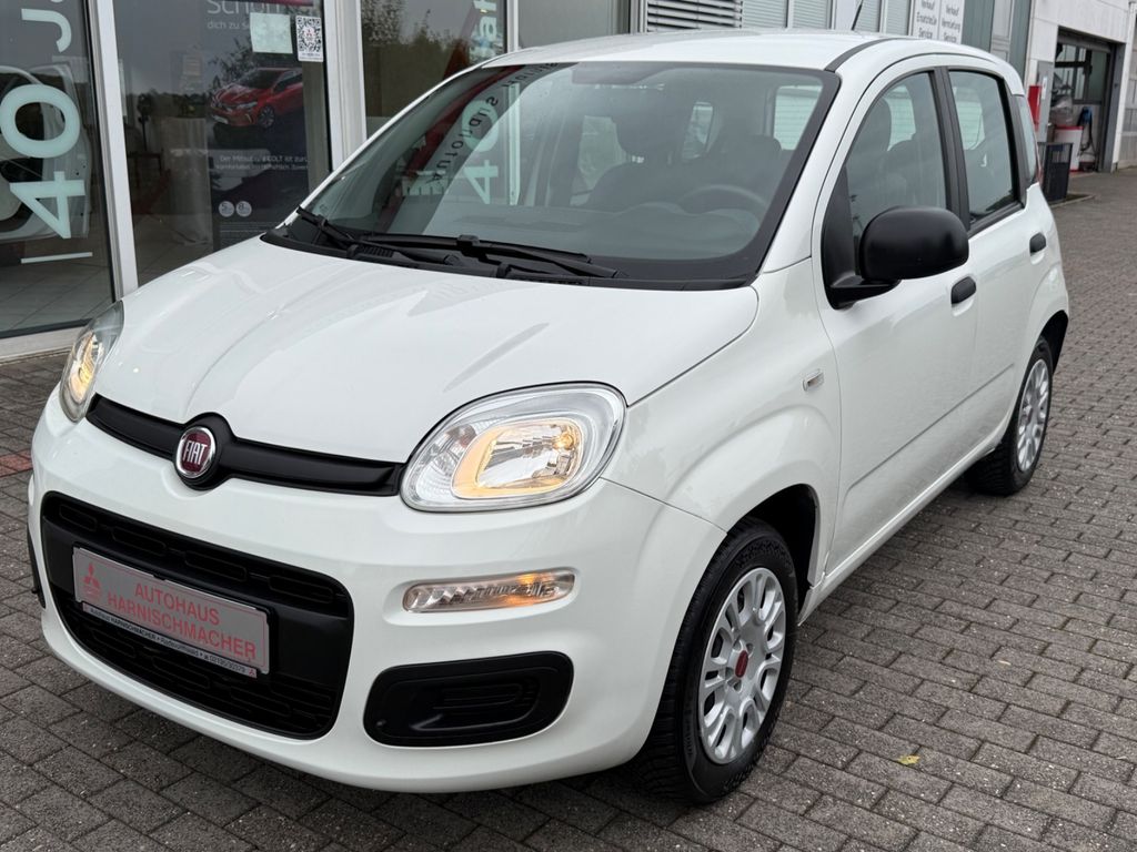 Image of Fiat Panda
