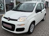 Fiat Panda Easy 1 Hand 51kW - Fiat Panda EASY mit Benzin-Antrieb
