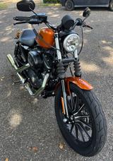 Harley-Davidson Sportster Iron 883