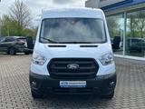 Ford Transit Kasten 350 L3 Trend AHK NAVI KLIMA - Ford Transit Jahreswagen