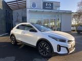 Kia XCeed 1.6 PHEV DCT6 PLATINUM 18 ZOLL GD - Kia XCeed Gebrauchtwagen