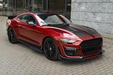 Ford Mustang 2.3 EcoBoost /GT500 Optik /R20/Carbon - Ford Mustang GT500 Gebrauchtwagen