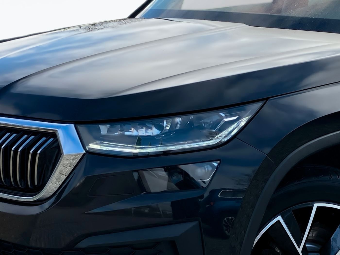 Skoda Kodiaq - Bild 6