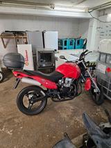 Andere Regal Raptor SPT 12   Führerschein-Klasse A1 - RAPTOR