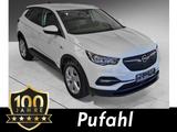 Opel Grandland seit 100 Jahren kommen Opel von Pufahl