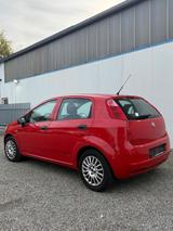 Fiat Punto aus erste Hand kein Rost mit TÜ... - Fiat Punto Gebrauchtwagen in Stuttgart