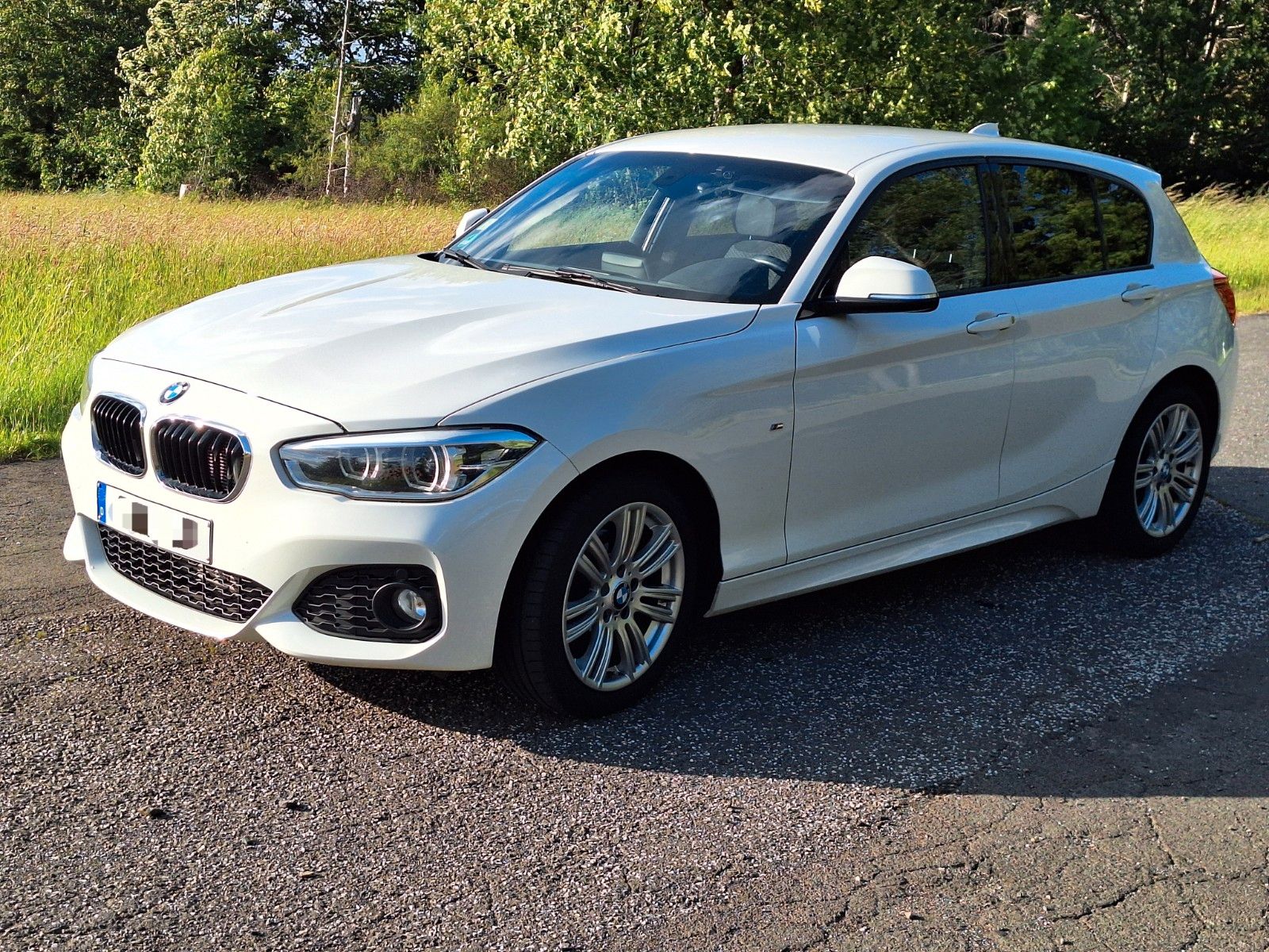 BMW 120d xDrive M Sport, AHK, 8-fach bereift