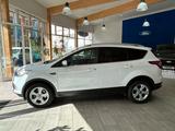 Ford Kuga Cool & Connect - Ford Kuga mit Benzin-Antrieb