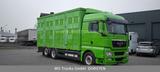 MAN TGX 26.480 XL KABA   3 Stock Viehtransporter - MAN Tgx 26 480